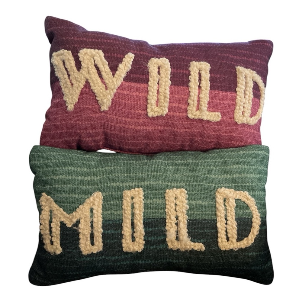 Opalhouse Mild Wild Decorative Pillow Set Pink Teal Boho Accent Pillows